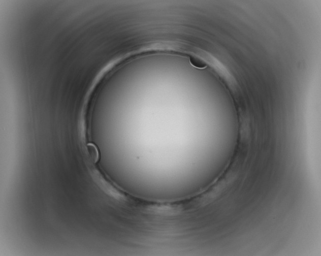 X0000114240896200910161631