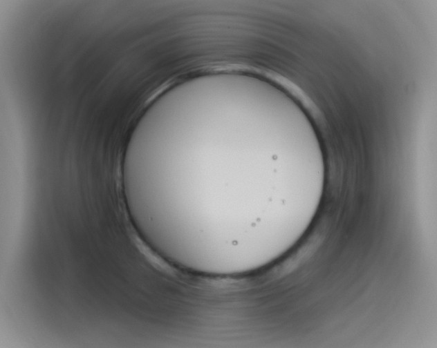 X0000114240897200910161631