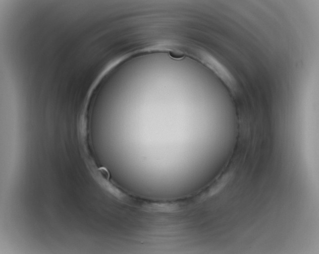 X0000114240900200910161631