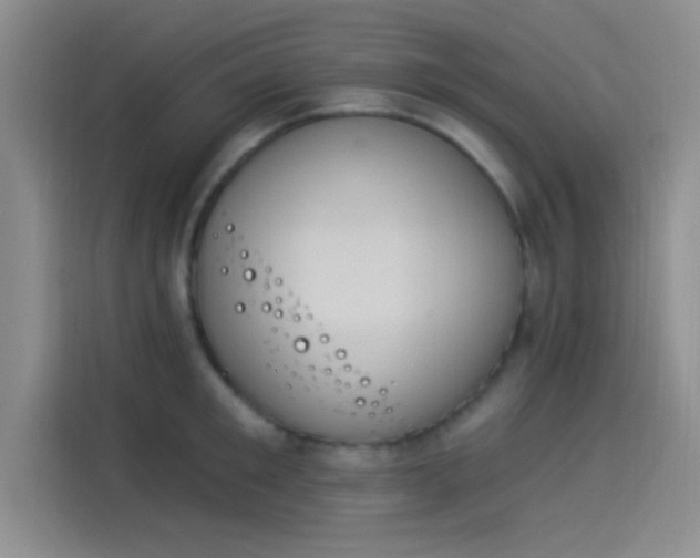 X0000114240901200910161631