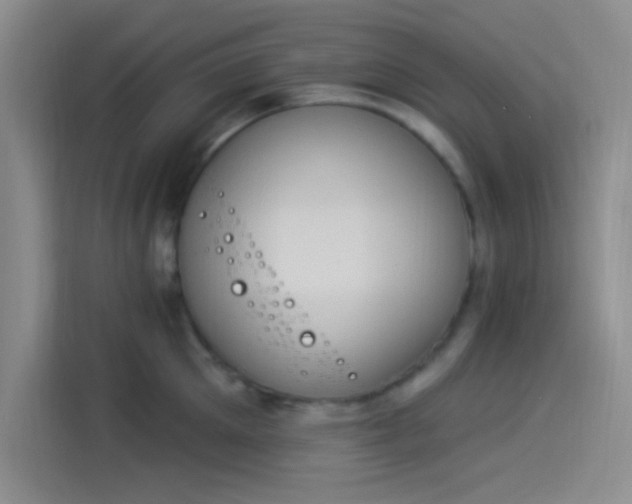X0000114240905200910161630
