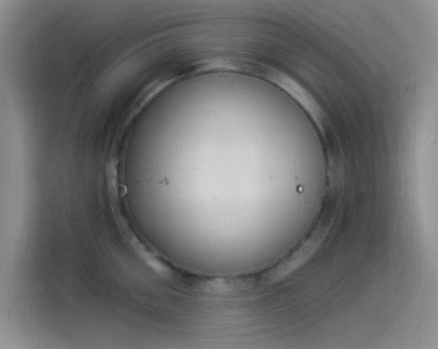 X0000114240906200910161630
