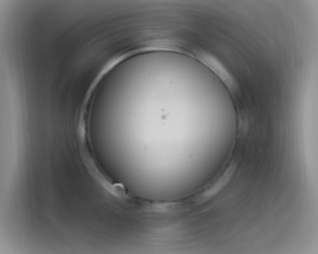 X0000114240908200910161630