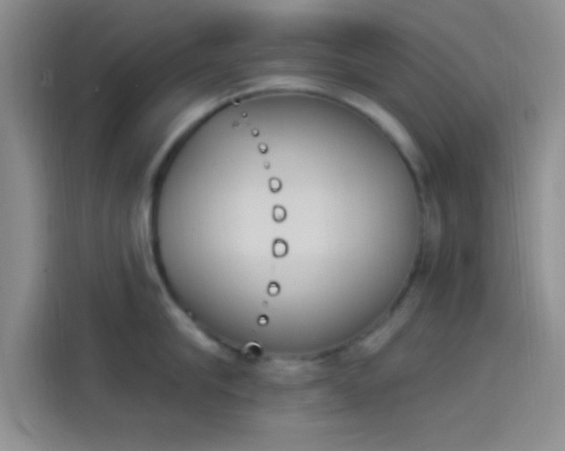 X0000114240910200910161630