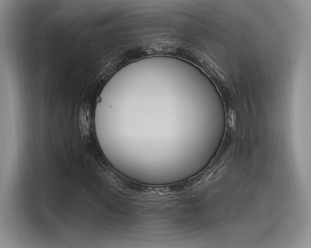 X0000114240915200910161630