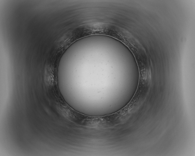 X0000114240916200910161630