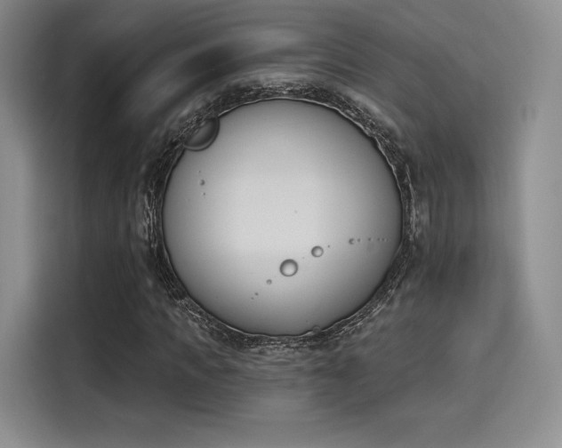 X0000114240917200910161630