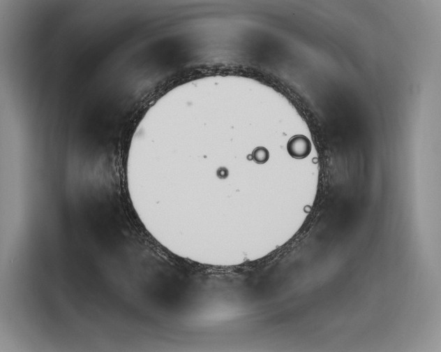 X0000114240918200910161630
