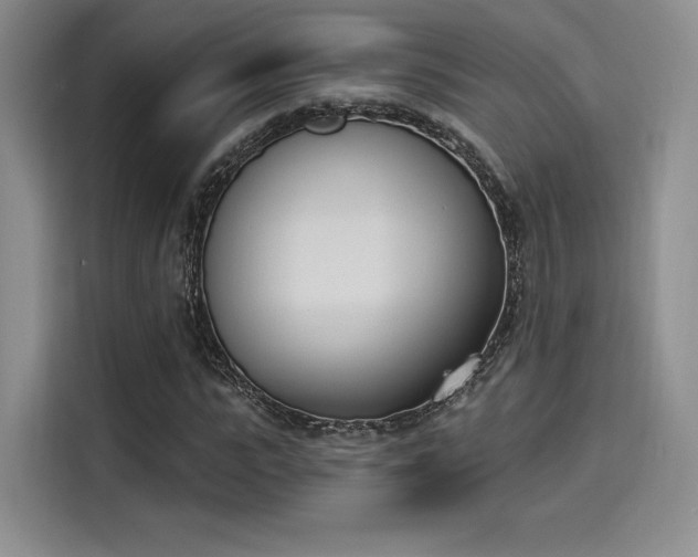 X0000114240919200910161630