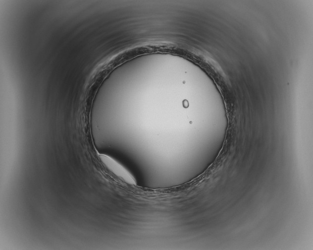X0000114240920200910161630