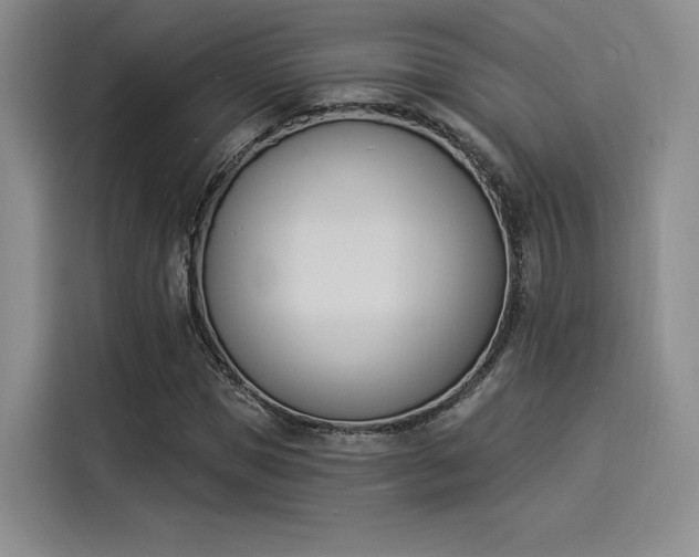X0000114240921200910161630