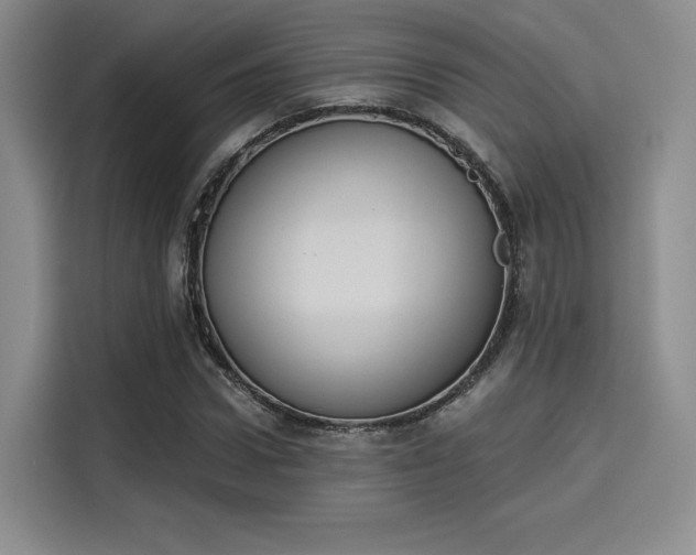 X0000114240922200910161630