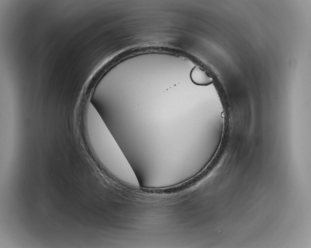 X0000114240925200910161630