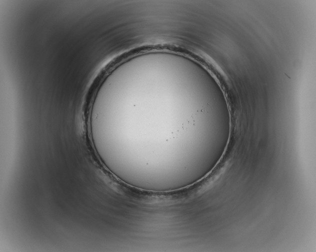 X0000114240927200910161630