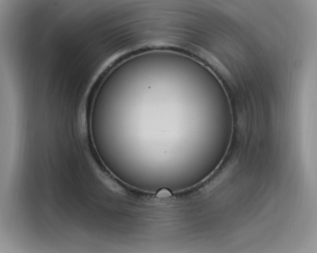 X0000114240934200910161630