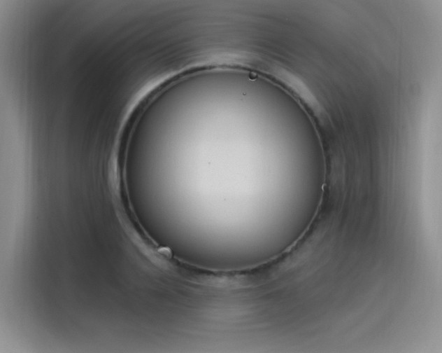 X0000114240936200910161630