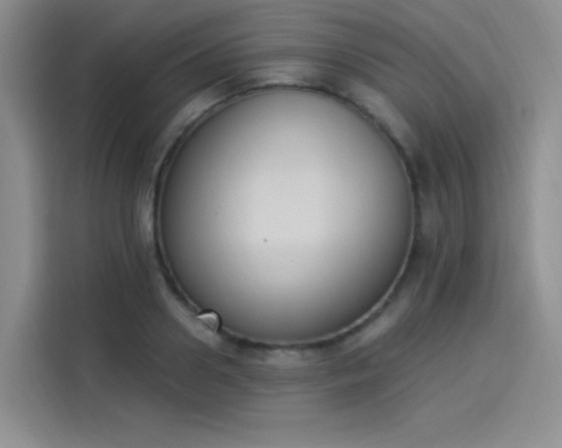 X0000114240938200910161630