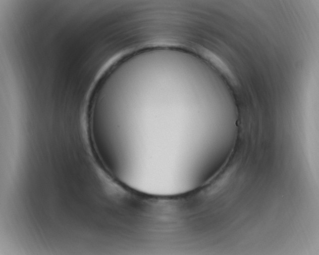 X0000114240942200910161630
