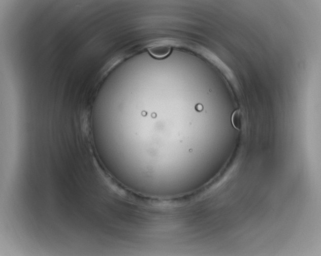 X0000114240945200910161630