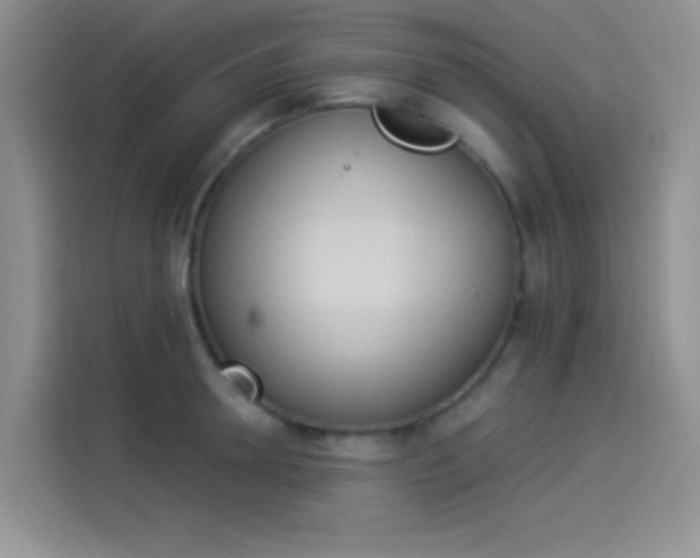 X0000114240946200910161630