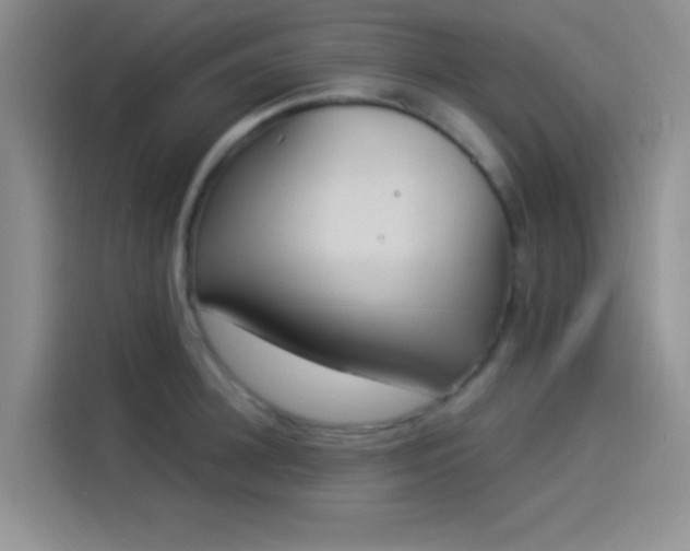 X0000114240948200910161630