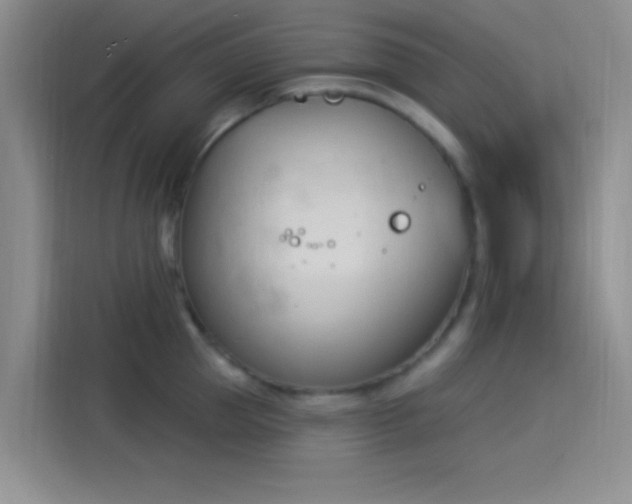 X0000114240953200910161630