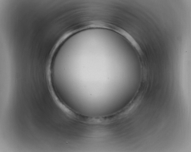 X0000114240955200910161630