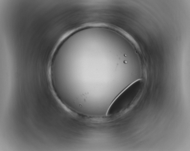 X0000114240959200910161630