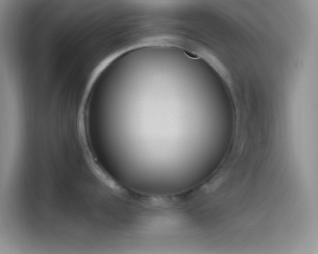 X0000114240960200910161630