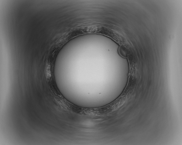 X0000114240962200910161630