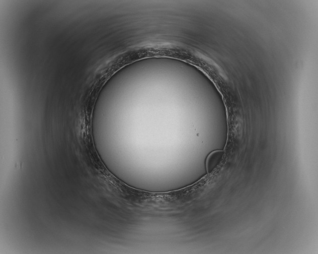 X0000114240966200910161630