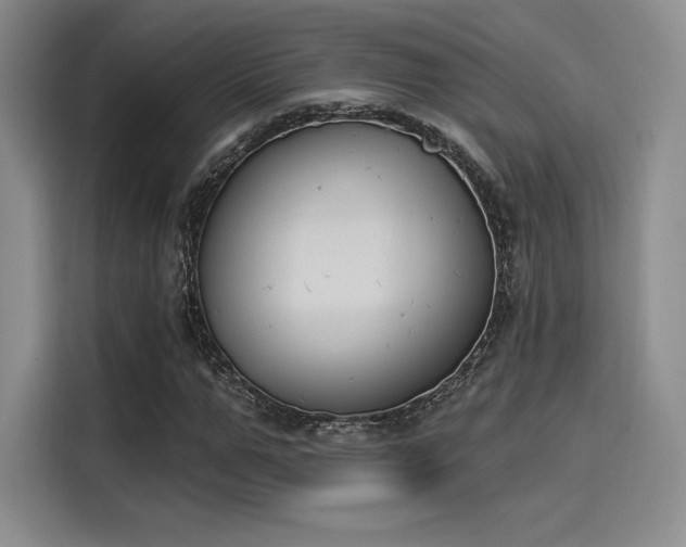 X0000114240967200910161630