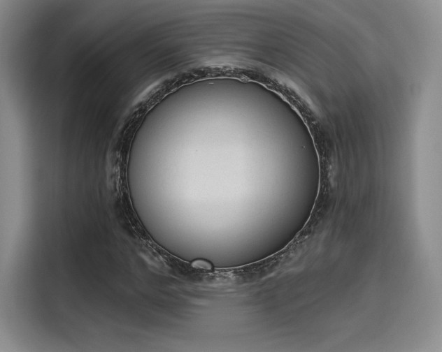 X0000114240968200910161630