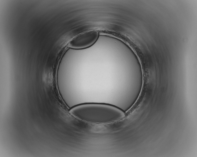 X0000114240969200910161630