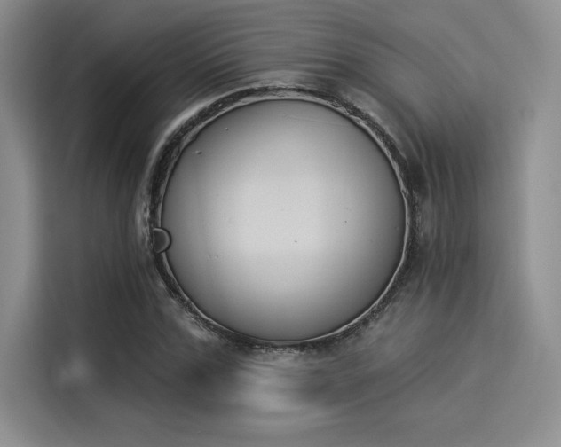 X0000114240971200910161629