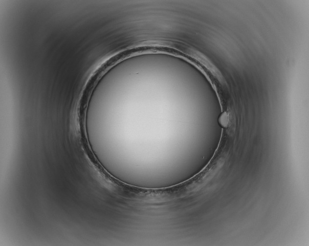X0000114240972200910161629