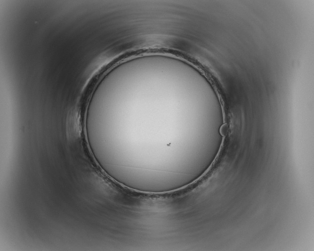 X0000114240973200910161629