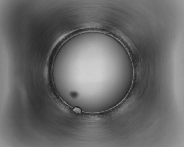 X0000114240975200910161629