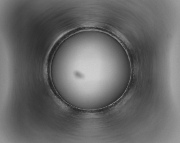 X0000114240976200910161629