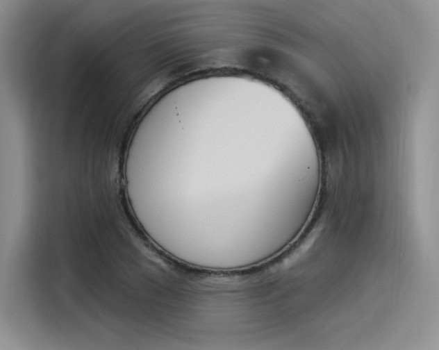 X0000114240977200910161629