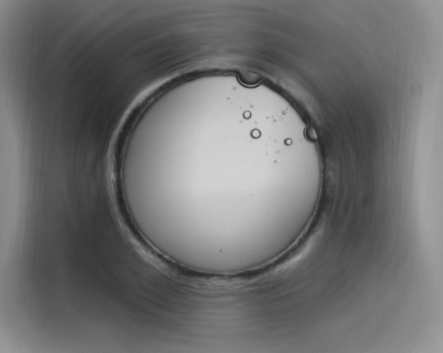 X0000114240981200910161629