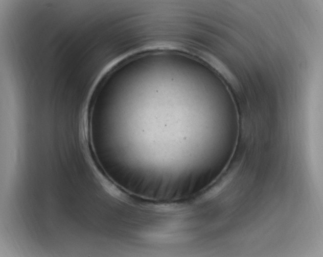 X0000114240988200910161629