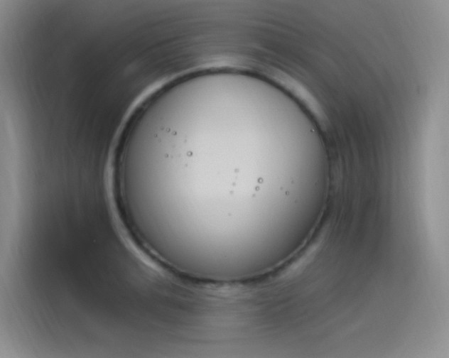 X0000114240991200910161629