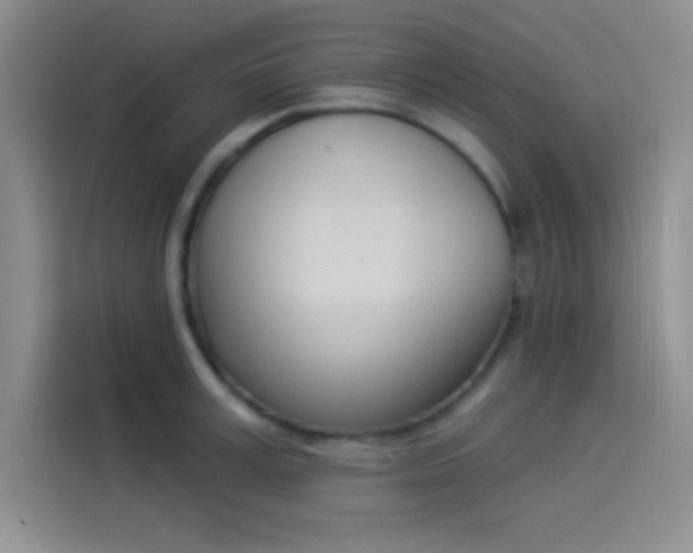 X0000114240995200910161629
