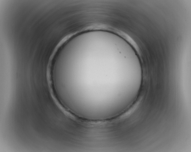 X0000114240997200910161629