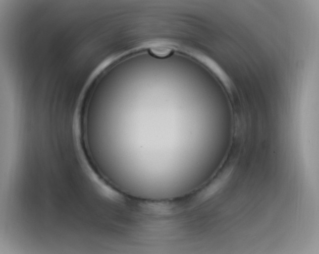 X0000114240999200910161629