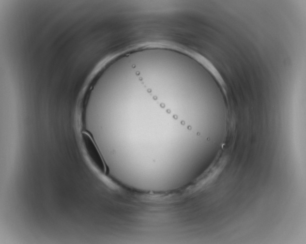X0000114241005200910161629