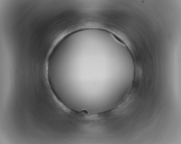 X0000114241006200910161629