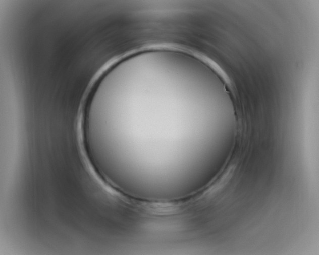X0000114241007200910161629