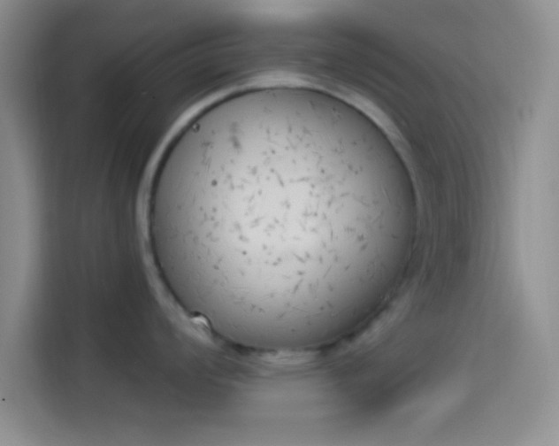 X0000114241008200910161629